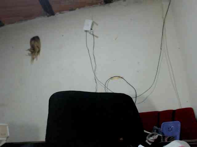 Bunnynasty888 Bunnynasty888