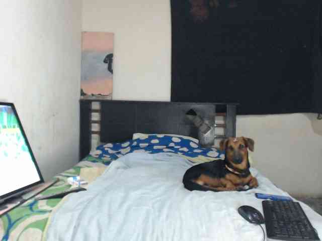 Bunnynasty888 webcam