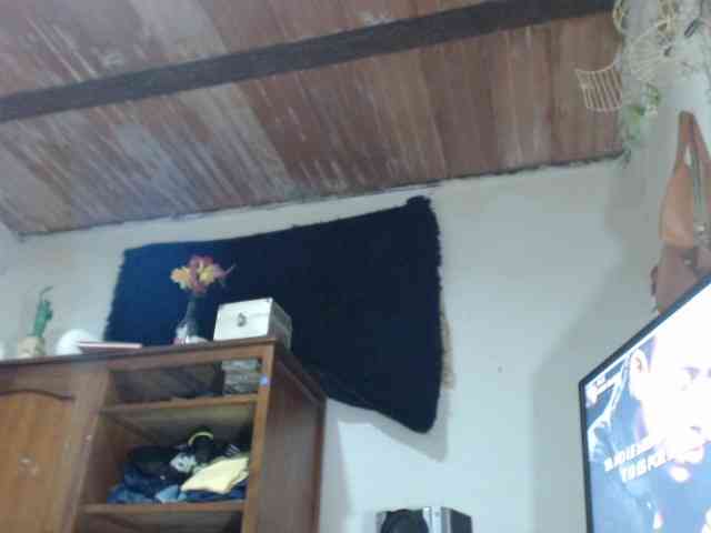 Bunnynasty888 webcam