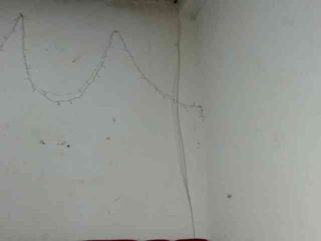 Bunnynasty888 Bunnynasty888