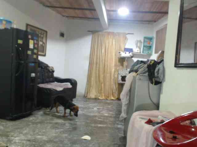 Bunnynasty888 webcam