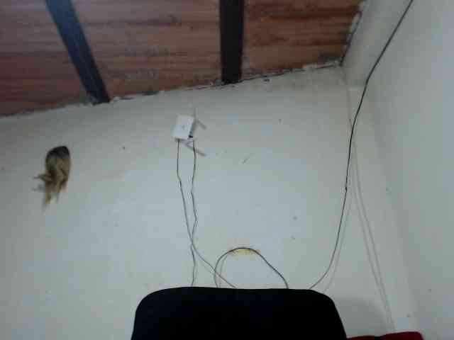 Bunnynasty888 Bunnynasty888