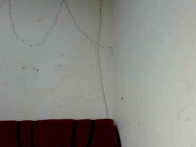 Bunnynasty888 webcam