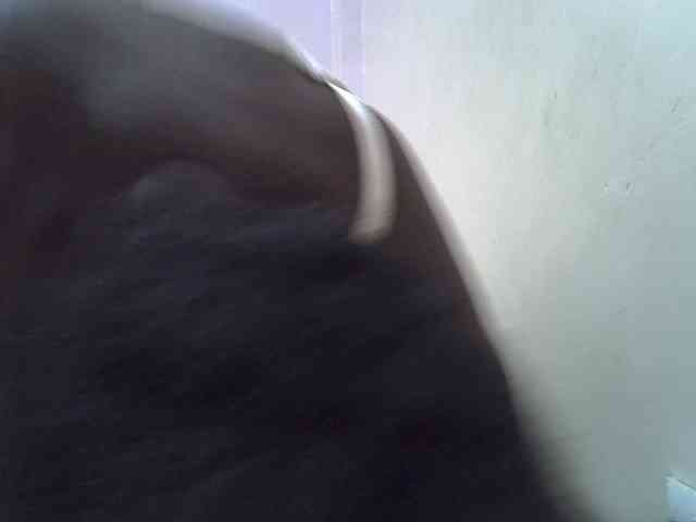 sweet-saffron webcam