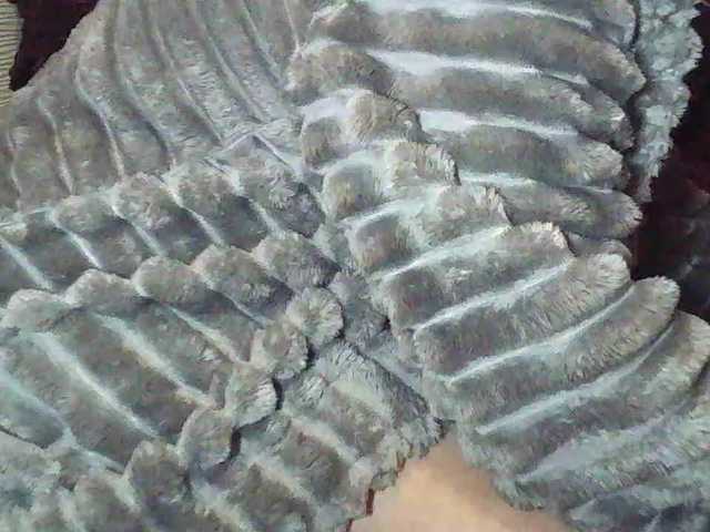 Evgenia80 from BongaCams is Freechat