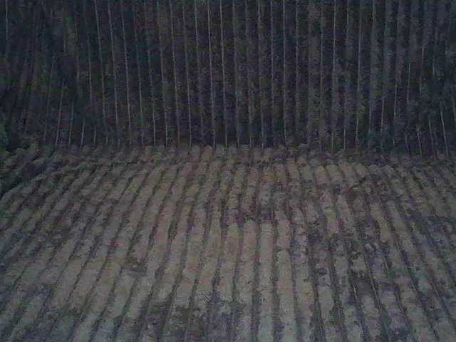 Evgenia80's BongaCams show and profile