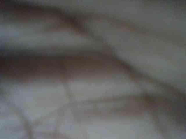 Pretty-thalia1 Pretty-thalia1