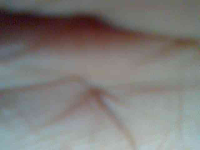 Pretty-thalia1 webcam