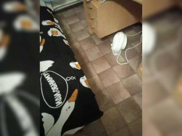 SemagaKisyusha – webcam model profile photo