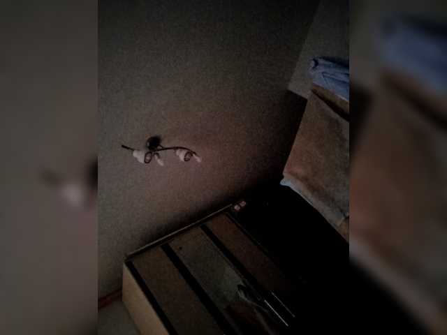 эросцена SemagaKisyusha