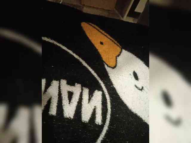 SemagaKisyusha webcam