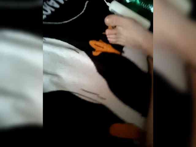 SemagaKisyusha webcam