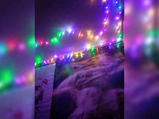 SemagaKisyusha webcam