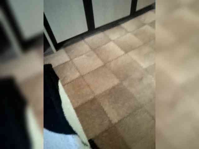 SemagaKisyusha webcam