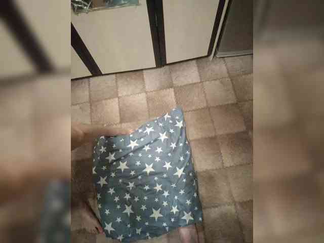 SemagaKisyusha webcam