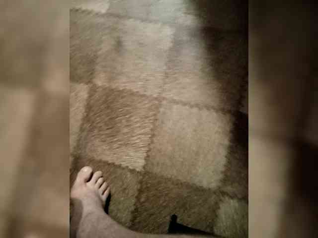 SemagaKisyusha webcam