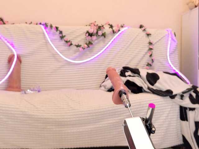 Amellika webcam stream