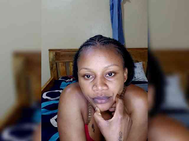 Petit-arana-1 Petit-arana-1