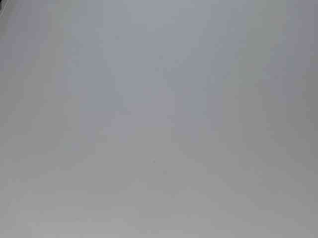 MichelandChris webcam