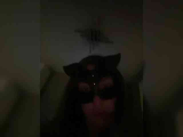 FallenLaAngel webcam