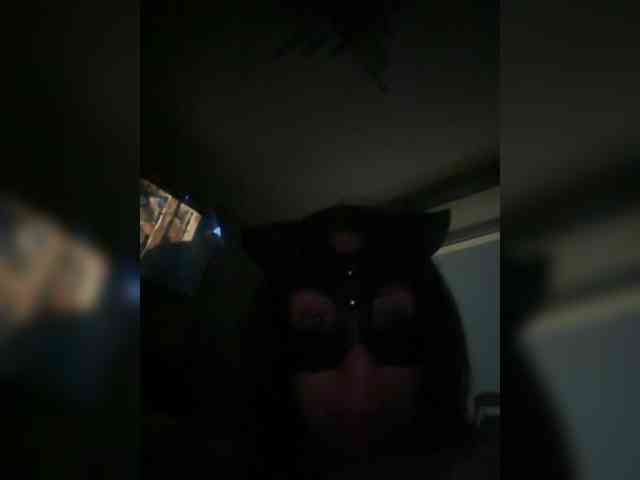 FallenLaAngel webcam