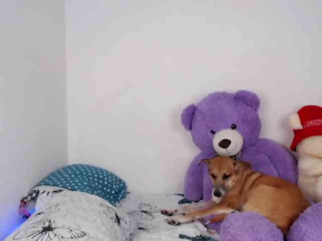 ViolettaMiller- webcam