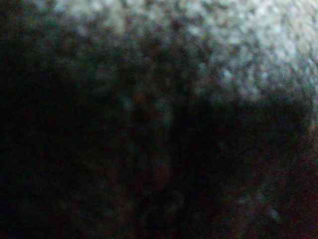 Tonyah1 Live Webcam on BongaCams