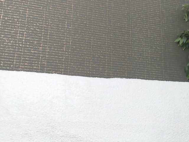 TinyBlair's BongaCams show and profile