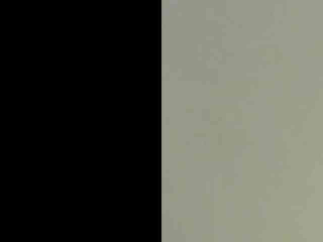 Charly1531 Charly1531