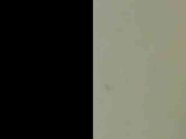 Charly1531 Charly1531