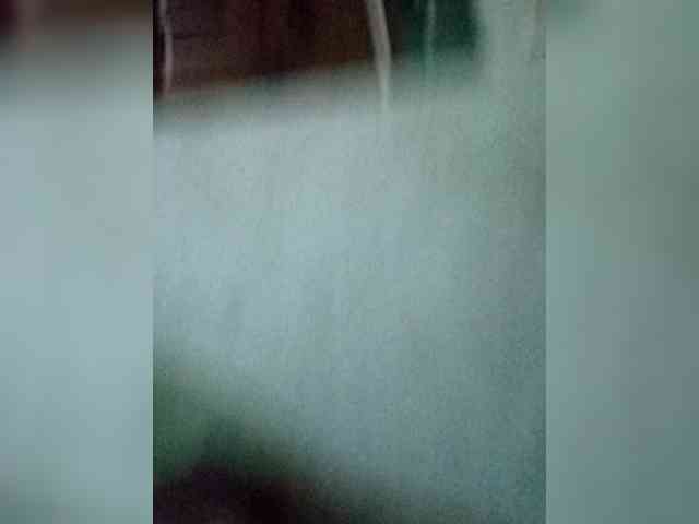 Charly1531 Charly1531