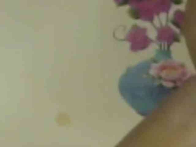 Charly1531 Charly1531