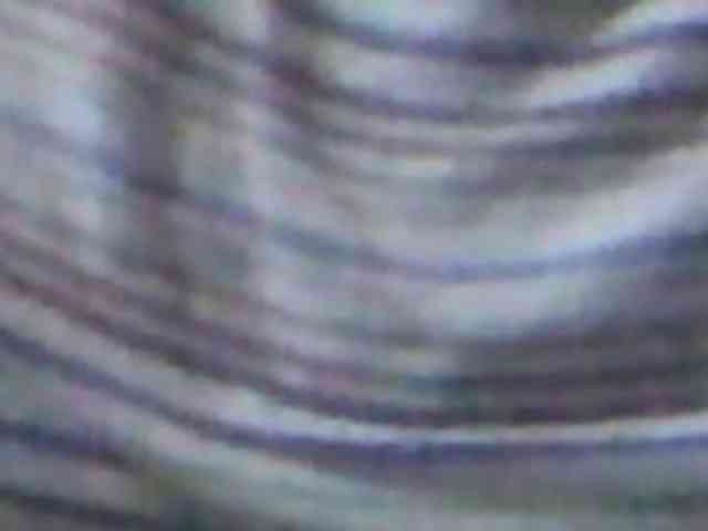 Charly1531 Charly1531