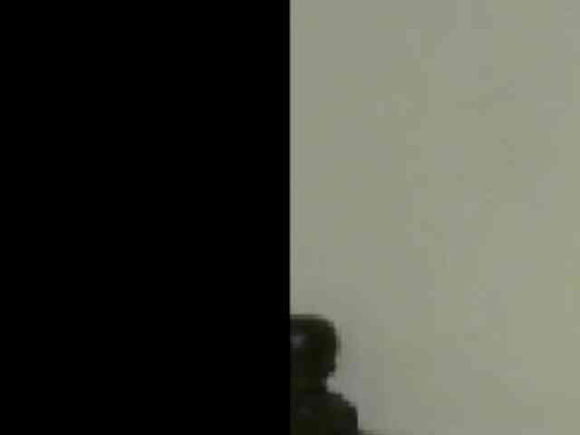 Charly1531 Charly1531