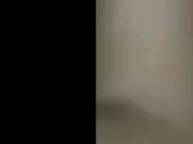 Charly1531 Charly1531