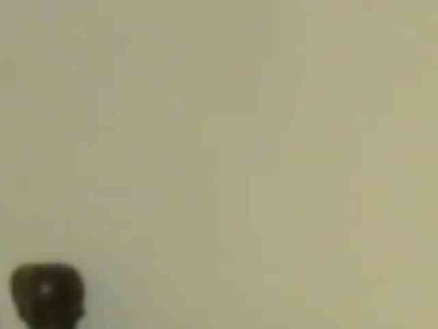 Charly1531 Charly1531