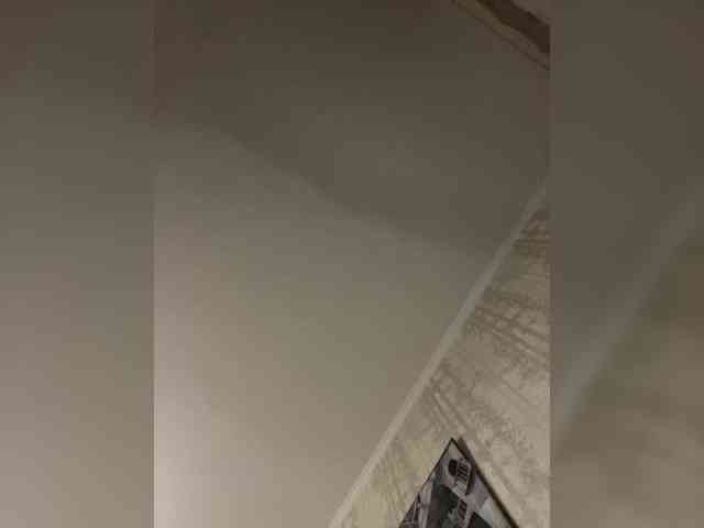 _the-secret-room_ webcam