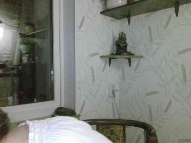 Nettie-Allie Nettie-Allie