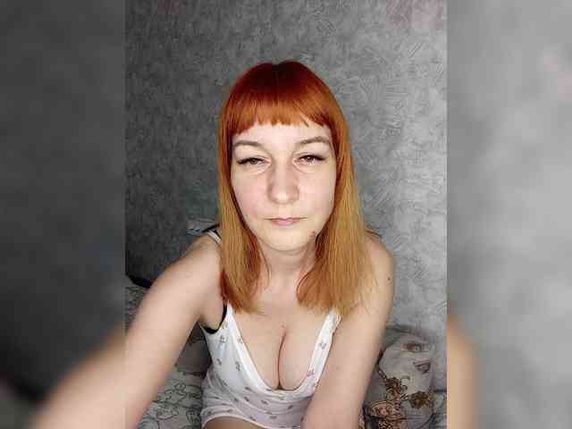 -Vlada- webcam