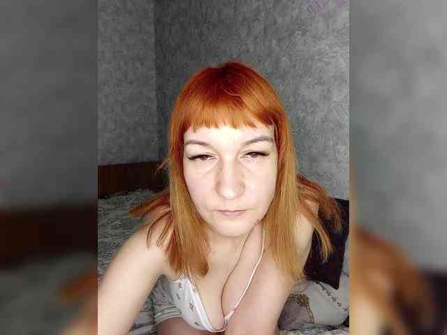 -Vlada- webcam