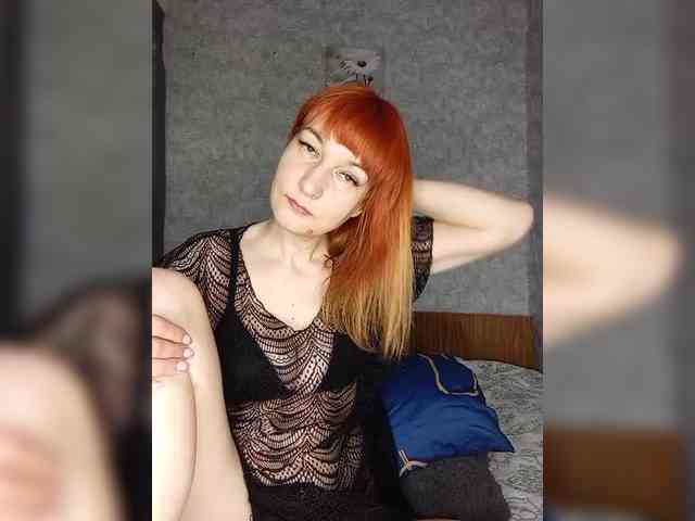 -Vlada- webcam
