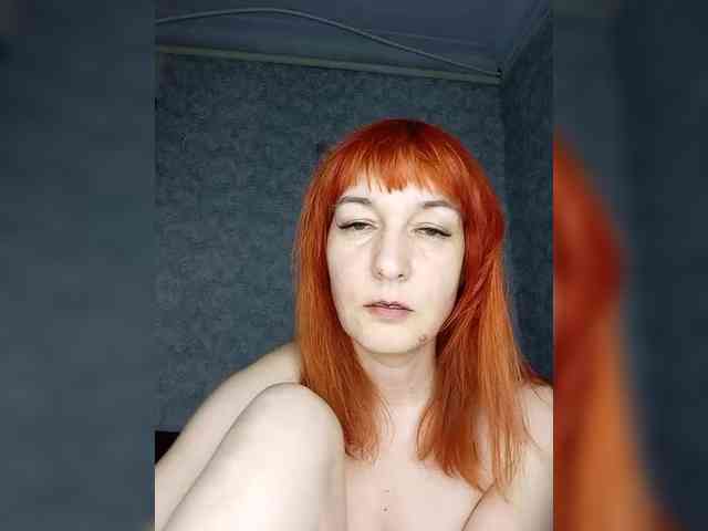 -Vlada- webcam