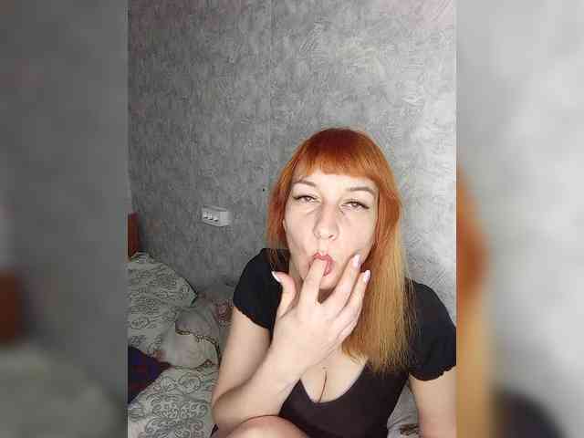 -Vlada- webcam