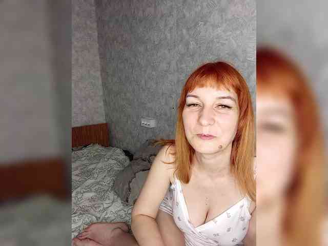 -Vlada- webcam