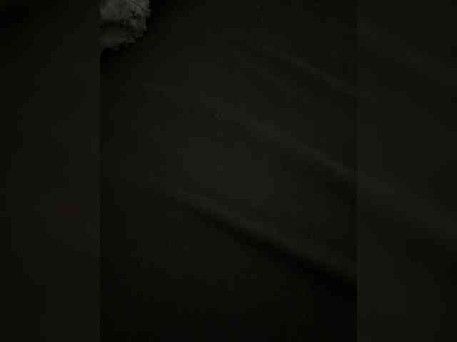 dualdesire0405 webcam