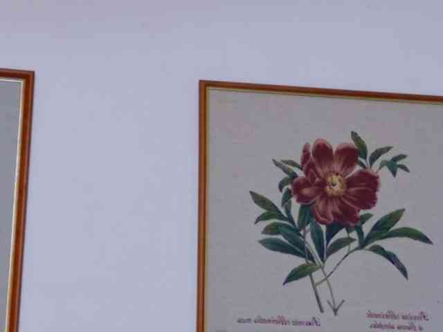 HardCandyBaby webcam