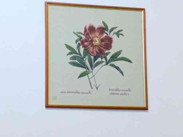 HardCandyBaby webcam