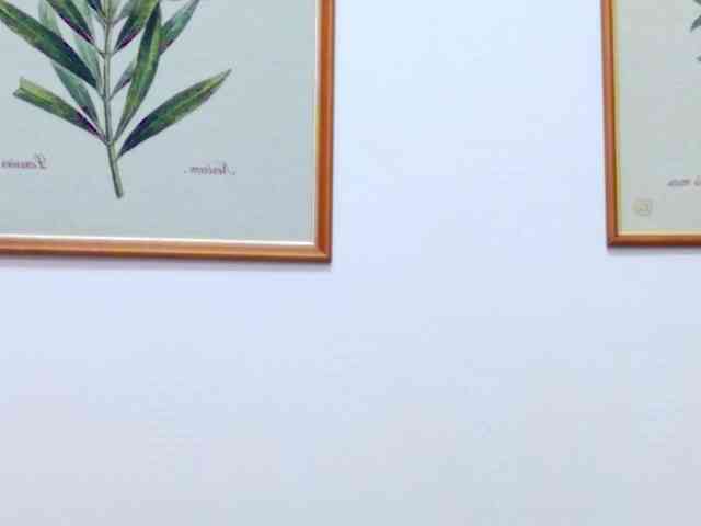 HardCandyBaby webcam