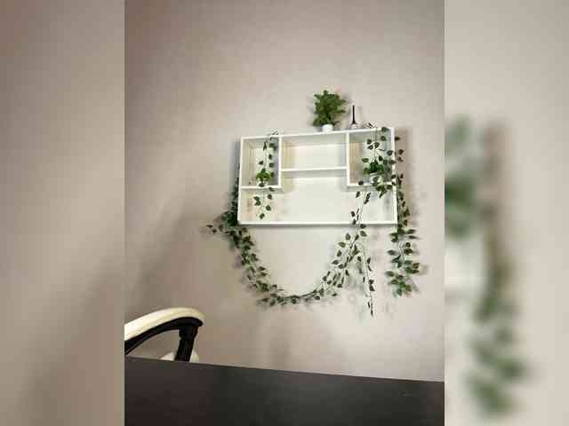 Barbara-Dunnn webcam