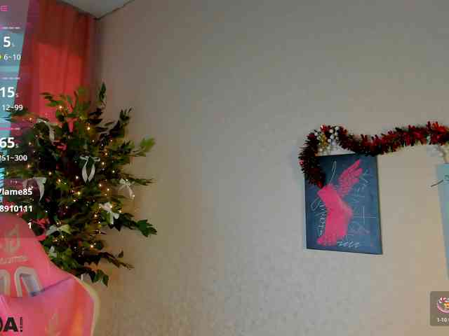 Barbara-Dunnn webcam